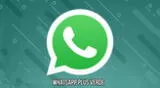 Así podrás descargar la versión WhatsApp Plus VERDE totalmente GRATIS para tu smartphone Android.