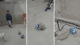 Un armadillo interrumpió un juego familiar para demostrar sus dotes con el balón.