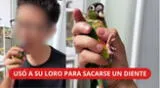 En el video, el niño le entrega rápidamente el loro a su mamá mientras el dentista emplumado sostiene el diente en su pico.