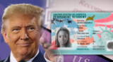 Donald Trump buscaría favorecer con la Green Card a estos inmigrantes.