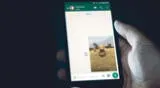 Consejos para convertir un video en GIF usando WhatsApp directamente.