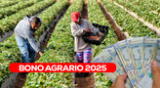Conoce si estás registrado en el Padrón de Productores Agrarios del Midagri.