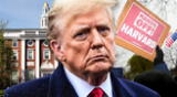 Harvard trata de recuperar el permiso de recibir estudiantes extranjeros que Trump le negó.