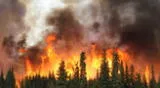 Un incendio forestal ocurrió en el bosque de Miami-Dade, Florida. Por ahora, no hay víctimas mortales