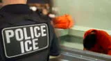 Conoce cuál es el estado con más muertes de inmigrantes arrestados por ICE en EE. UU.