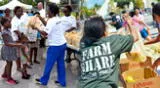 Obtén alimentos frescos y gratuitos en Florida.