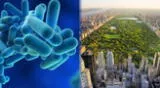 Una grave enfermedad está afectando a los vecinos de Nueva York y se ha confirmado que dos personas han perdido la vida.