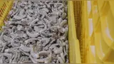 Especias retiradas del mercado por posible contaminación radiactiva Especias retiradas del mercado por posible contaminación radiactiva