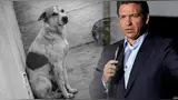 Florida castiga con pena de cárcel el abandono de perros en desastres.