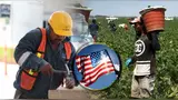 Trabajar como inmigrante en EE. UU. ya no es una opción viable.