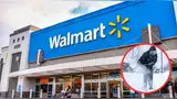 El artículo se agota rápidamente en Walmart