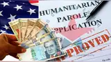 EE. UU. implementa nueva tarifa de $1.000 para el parole humanitario.