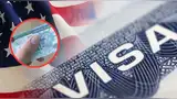 Revisa tu visa y descubre si puedes obtener la Green Card Revisa tu visa y descubre si puedes obtener la Green Card