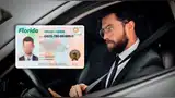 Florida endurece requisitos para acceder a licencias de conducir Florida endurece requisitos para acceder a licencias de conducir