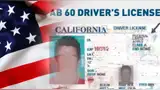 Las únicas visas que permitirán licencias comerciales a inmigrantes en California. Las únicas visas que permitirán licencias comerciales a inmigrantes en California.