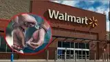 Walmart: arrestan a hombre de 42 años tras ser descubierto tomando fotos ilícitas a menores.