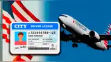 Los documentos que pueden reemplazar la licencia de conducir en un vuelo nacional.