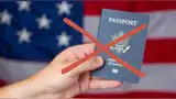 Pasaportes antiguos serán suspendidos automáticamente Pasaportes antiguos serán suspendidos automáticamente