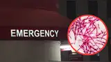 Brote de legionella activa alerta sanitaria en Florida Brote de legionella activa alerta sanitaria en Florida