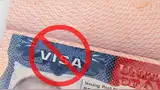 Sin esta foto correcta, la visa americana podría quedar en pausa Sin esta foto correcta, la visa americana podría quedar en pausa