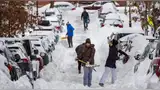 Vecinos pueden solicitar la limpieza de nieve en sus calles tras la tormenta invernal.