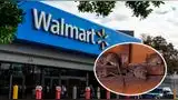 Cierran Walmart sin fecha de reapertura tras hallazgo de roedores en el interior del supermercado.
