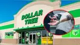 Dollar Tree de Tennessee: reportan arresto de sospechoso tras tiroteo en West Knoxville.