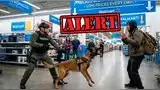 Amenaza de bomba en Walmart de Ohio activa unidad canina.