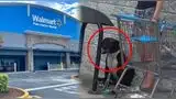 Cinco personas resultaron heridas durante una pelea de perros dentro del Walmart de Palm Harbor.