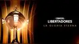 Aquí podrás conocer a los equipos clasificados a los octavos de final de la Copa Libertadores.