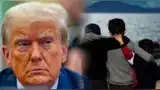 Trump expone e identifica a 146.000 menores extranjeros no acompañados.