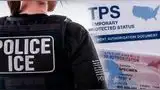 EE. UU.: exponen insólito plan de ICE contra haitianos a medida que finalice el TPS.