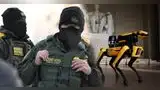 ICE utilizará perros robot de Boston Dynamics en próximos operativos.