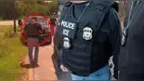 Los dos tipos de vehículos que ICE suele detener, según un abogado de inmigración.