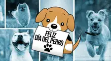 Día Mundial del Perro: CELEBRA al mejor amigo del hombre con estas emotivas FRASES vía WhatsApp