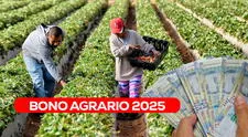 Bono agrario 2025: Consulta AQUÍ si estás registrado en el Padrón de Productores Agrarios