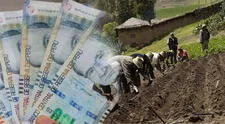 El subsidio de 1,000 soles con vigencia para todo el 2025 que se puede cobrar gracias al MIDAGRI