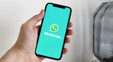 ¿Perdiste tus chats o archivos de WhatsApp? El truco para acceder a la carpeta que los almacena