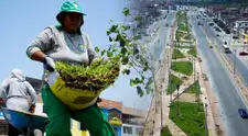 Vecinos de Villa El Salvador celebran instalación de áreas verdes en importante avenida del distrito