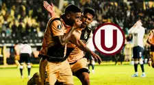 Coquimbo Unido dio importante noticia de cara al partido ante Universitario por Libertadores