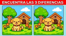 ¿Eres un verdadero genio? Encuentra las 3 diferencias en solo 8 segundos y marca un nuevo récord