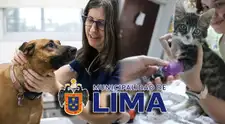 Consultas, desparasitación y más GRATIS: ¿dónde será la campaña veterinaria de este jueves 15 de octubre?