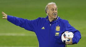 Vicente del Bosque asegura que España llega mejor que todas las selecciones al Mundial