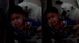 "No le pegues, es como mi hermanito": niño clama piedad para su mascota y se vuelve viral en redes [VIDEO]