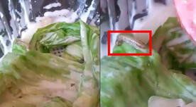 Ciudadano denuncia que encontró un gusano en la ensalada de Pardos Chicken [VIDEO]