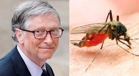 Bill Gates preocupado por brote de malaria en África durante la pandemia de la COVID-19