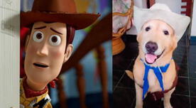 TikTok: joven disfraza a su perro de 'Woody' y realizan divertida escena de Toy Story 2