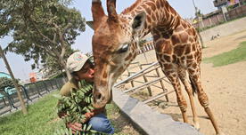 Zoológico de Huachipa no tiene cómo alimentar a 220 especies de animales