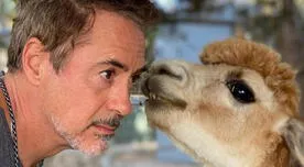 Robert Downey Jr. regresará a las pantallas con una nueva serie sobre animales [FOTO]