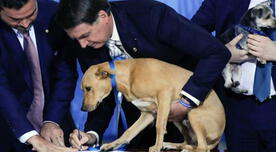 Presidente de Brasil promulga nueva ley contra el maltrato animal e hizo "firmar" a su perro
